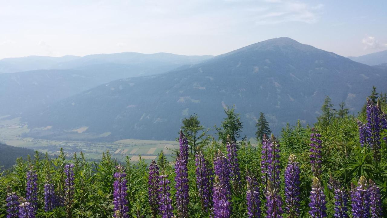Villa Mountain View With Waterbed Sankt Michael im Lungau Bagian luar foto